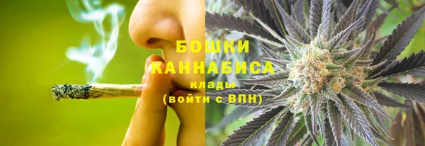 молекула духа Краснослободск