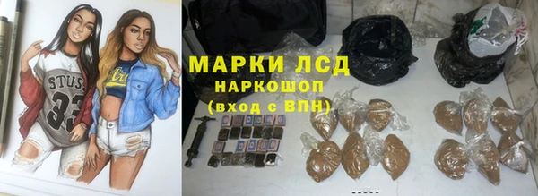 мяу мяу кристалл Корсаков