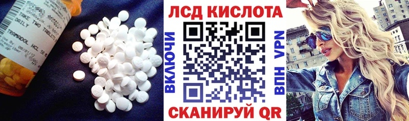 Купить закладки  Петропавловск-Камчатский  Лсд 25 экстази ecstasy 