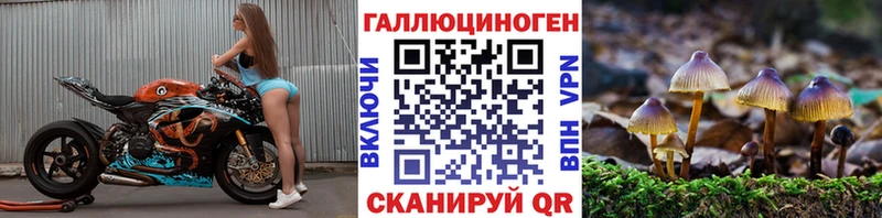 Купить  Петропавловск-Камчатский  Псилоцибиновые грибы Psilocybe 