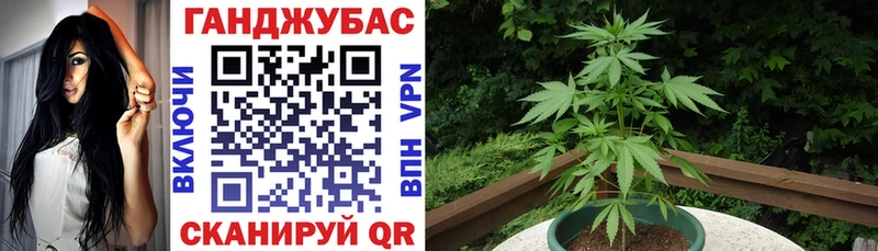 Купить  Петропавловск-Камчатский  Конопля VHQ 